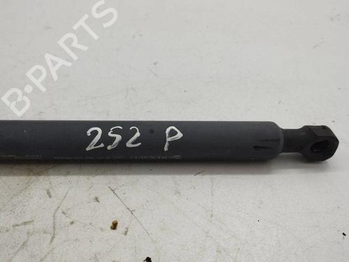 Hood lift support RENAULT CLIO IV (BH_) 1.5 dCi 90 | BP28904606C139 