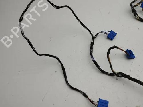 Wiring harness VW ARTEON (3H7, 3H8) 2.0 TDI 4motion | BP28863688E16 
