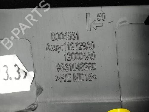 Switch CITROËN C4 III (BA_, BB_, BC_) ë-C4 (BCZKXC, BZCKSC) | BP28865819I30 