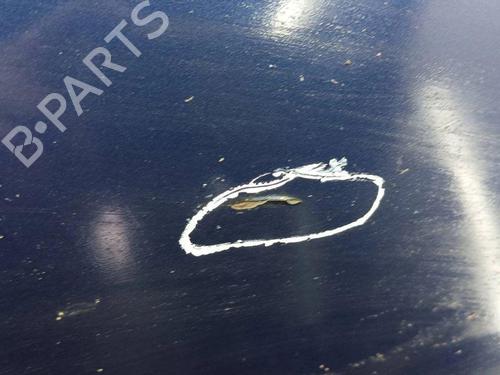 Hood FORD FOCUS C-MAX (DM2) 1.6 TDCi | BP28891493C1 