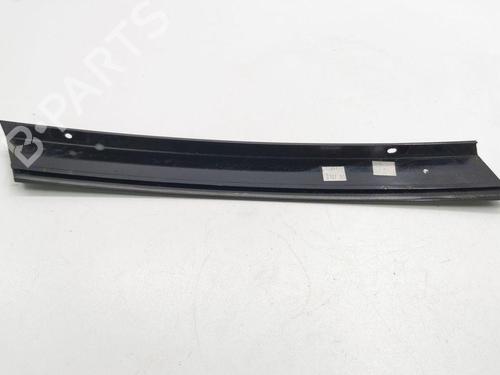 Door moulding trim MERCEDES-BENZ R-CLASS (W251, V251) R 320 CDI 4-matic (251.022, 251.122) | BP28889100C150 