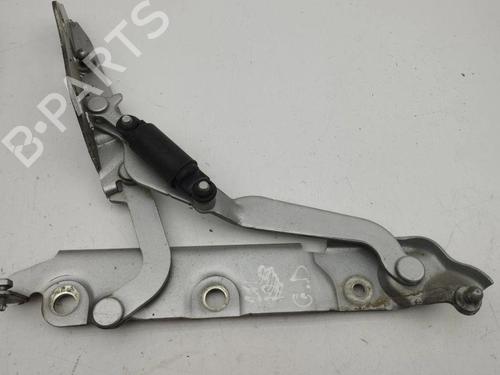 Hinge/Door check strap JAGUAR XF I (X250) 2.7 D | BP28888762C146 