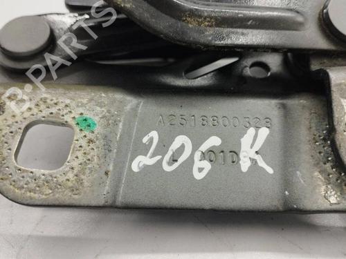 Hinge/Door check strap MERCEDES-BENZ M-CLASS (W164) ML 280 CDI 4-matic (164.120) | BP28875079C146 