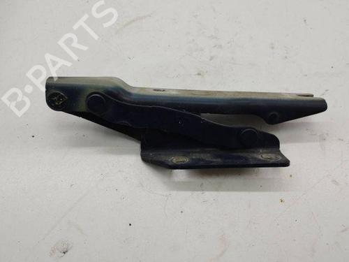 Hinge/Door check strap BMW 5 Touring (E61) 520 d | BP28851968C146 