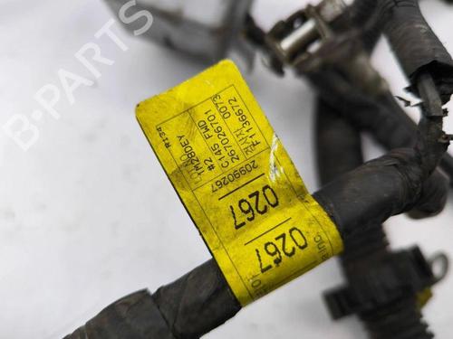 Ledningsnett OPEL ANTARA A (L07) 2.2 CDTi | BP28896044E16 