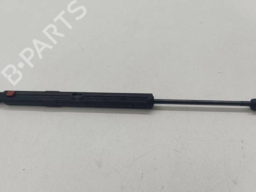 Hood lift support MERCEDES-BENZ R-CLASS (W251, V251) R 320 CDI 4-matic (251.022, 251.122) | BP28889130C139 