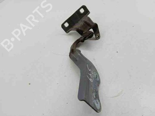 Hinge/Door check strap NISSAN X-TRAIL II (T31) 2.0 dCi 4x4 | BP28845215C146