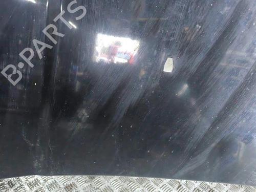 Hood LAND ROVER RANGE ROVER SPORT I (L320) 2.7 D 4x4 | BP28894724C1