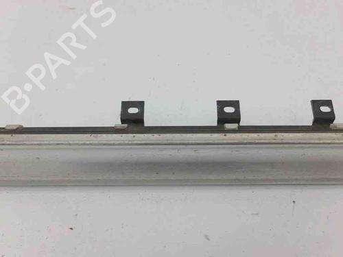 Door moulding trim AUDI ALLROAD C5 (4BH) 2.5 TDI quattro | BP28885719C150
