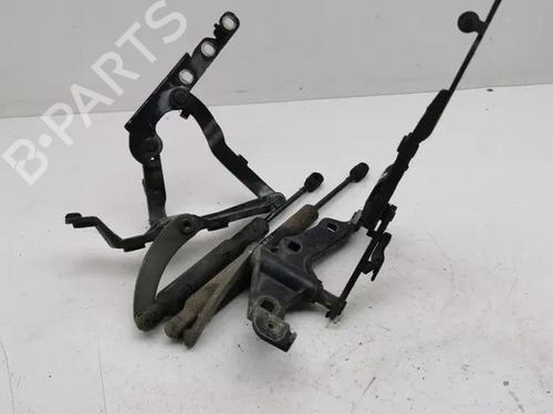 Hinge/Door check strap MERCEDES-BENZ S-CLASS (W221, V221) S 320 CDI (221.022, 221.122) | BP28853915C146 
