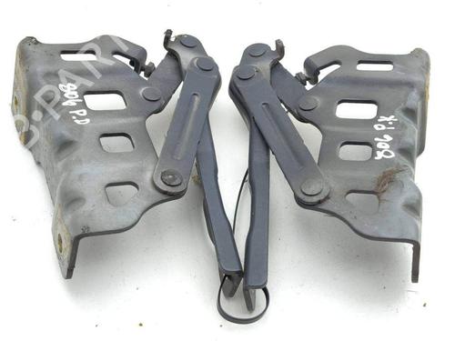 Hinge/Door check strap KIA SPORTAGE V (NQ5) 1.6 T-GDI | BP28884181C146 