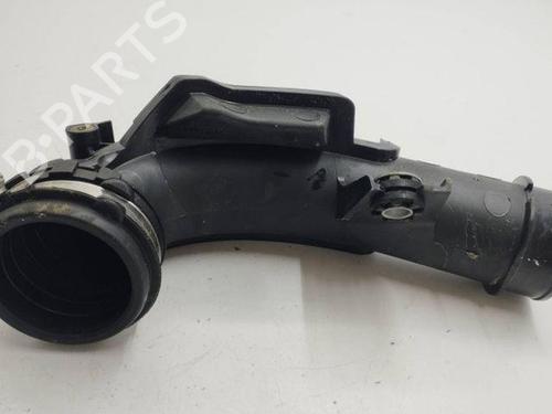 Used Pipe NISSAN JUKE (F16_) 1.0 (114 hp) 28854284