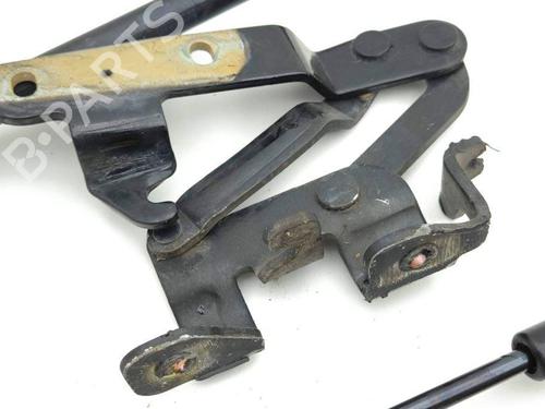 Hinge/Door check strap MASERATI QUATTROPORTE V 4.2 | BP28881657C146 