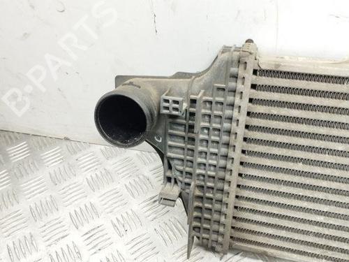 Intercooler MERCEDES-BENZ M-CLASS (W164) ML 320 CDI 4-matic (164.122) | BP28844483M30
