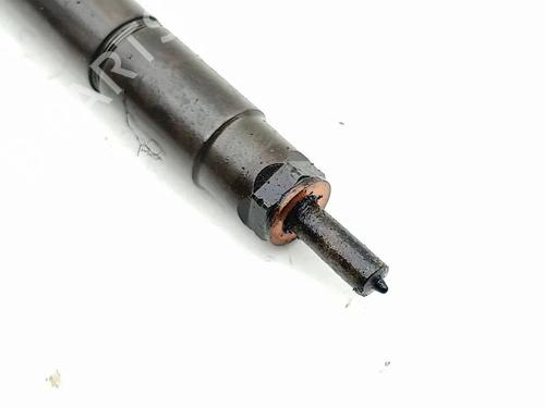 Injector LAND ROVER RANGE ROVER EVOQUE (L538) 2.2 D 4x4 | BP30643600M100 