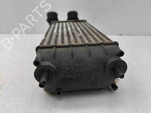 Intercooler CITROËN DS4 (NX_) 1.6 HDi 110 | BP28887739M30 