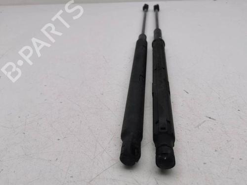Used Hood lift support MERCEDES-BENZ M-CLASS (W164) ML 320 CDI 4-matic (218 hp) 28898448