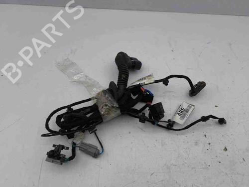 Used Wiring harness FORD C-MAX II (DXA/CB7, DXA/CEU) 1.0 EcoBoost (125 hp) 28887982