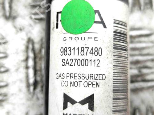 Left rear shock absorber PEUGEOT 208 I (CA_, CC_) 1.4 VTi | BP28873975M18 