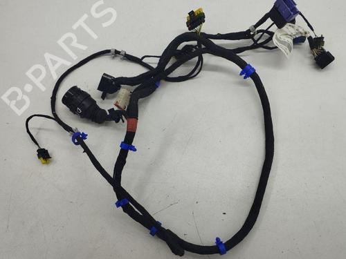 Wiring harness MASERATI QUATTROPORTE V 4.2 | BP28895977E16 