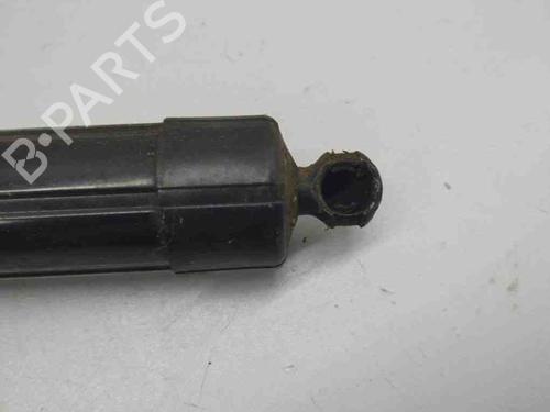 Tailgate lift support LAND ROVER RANGE ROVER EVOQUE (L538) 2.2 D 4x4 | BP28898705C138 