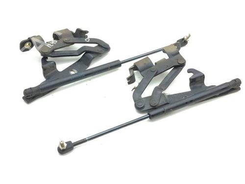 Hinge/Door check strap MASERATI QUATTROPORTE V 4.2 | BP28881657C146 