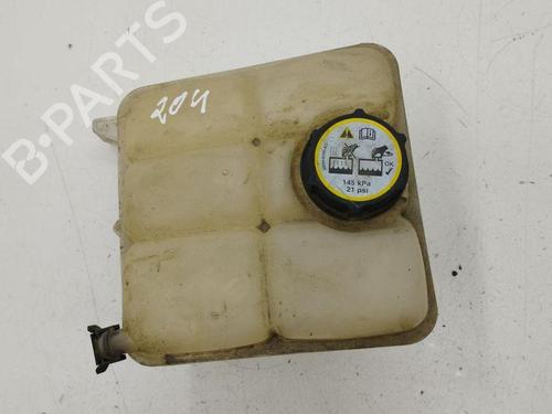 Used Expansion tank FORD C-MAX II (DXA/CB7, DXA/CEU) 1.6 TDCi (115 hp) 28886674