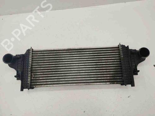 Used Intercooler MERCEDES-BENZ R-CLASS (W251, V251) R 320 CDI 4-matic (251.022, 251.122) (224 hp) 28903986