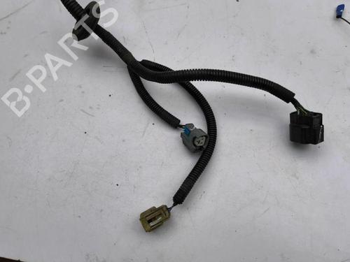Ledningsnett OPEL ANTARA A (L07) 2.2 CDTi | BP28896044E16 
