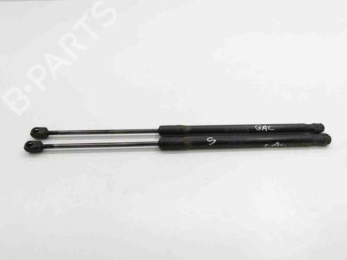 Used Tailgate lift support MERCEDES-BENZ A-CLASS (W169) A 160 CDI (169.006, 169.306) (82 hp) 28888314