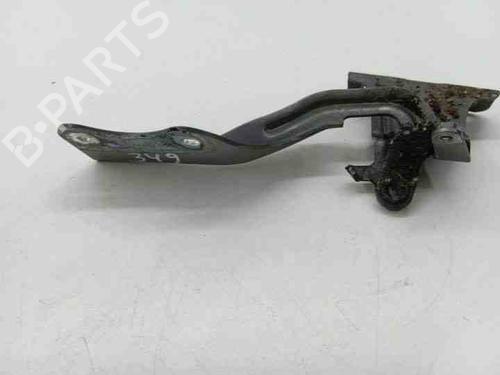 Hinge/Door check strap NISSAN X-TRAIL II (T31) 2.0 dCi 4x4 | BP28845215C146