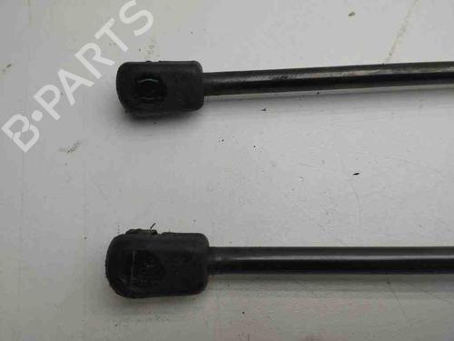 Hood lift support CHEVROLET CAPTIVA (C100, C140) 2.0 D 4WD | BP28892275C139