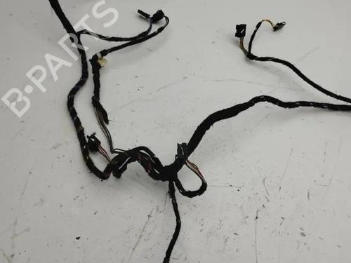 Ledningsnet BMW 7 (F01, F02, F03, F04) 730 d | BP28851799E16 