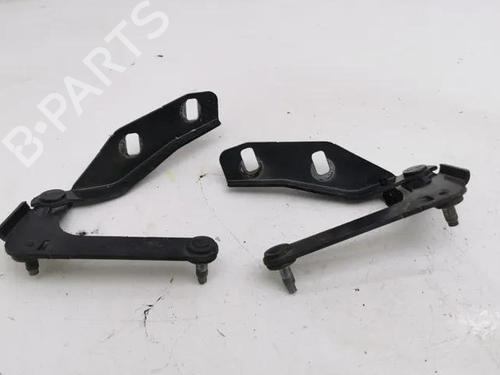 Hinge/Door check strap FORD C-MAX (DM2) 2.0 TDCi | BP28843112C146 
