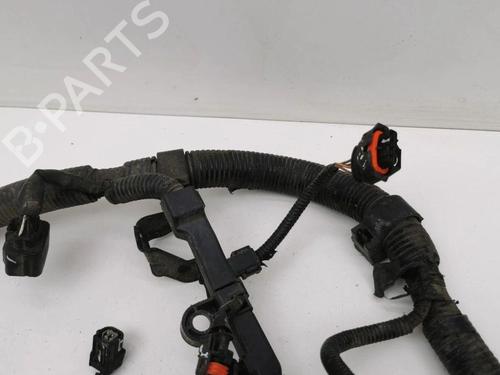 Wiring harness HONDA ACCORD VIII (CU) 2.2 i-DTEC (CU3) | BP28893960E16 