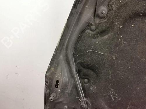 Hood PEUGEOT 508 I (8D_) 1.6 HDi | BP28890473C1 