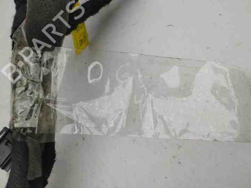 Wiring harness OPEL ANTARA A (L07) 2.2 CDTi | BP28854394E16