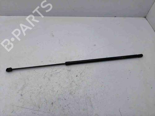 Used Hood lift support AUDI A3 Sportback (8VA, 8VF) 1.0 TFSI (115 hp) 28899991