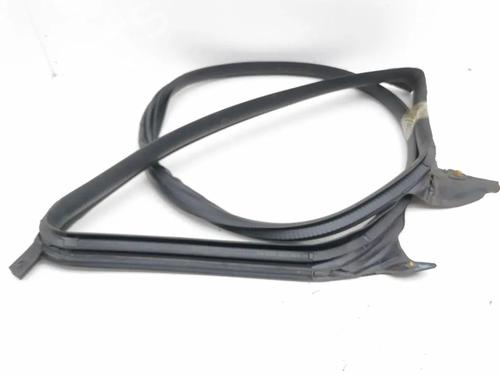 Gummiliste TESLA MODEL 3 (5YJ3) EV | BP36328769C142 - Image 3