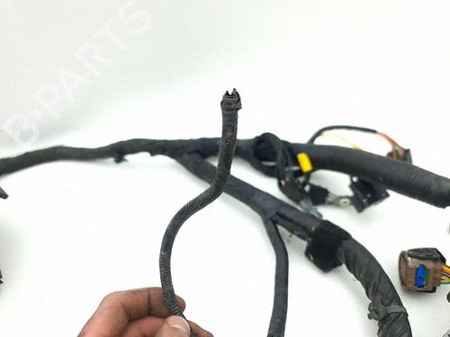 Ledningsnet KIA OPTIMA (JF) 1.7 CRDi | BP38251501E16 - Image 3