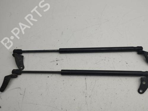 Hood lift support TESLA MODEL S (5YJS) 60 | BP28900766C139 