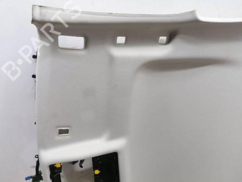 Interior roof JAGUAR XF I (X250) 2.7 D | BP28905288I12 
