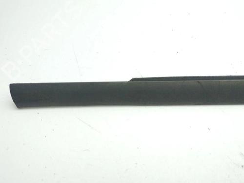 Door moulding trim BMW X5 (E53) 3.0 d | BP28890212C150 
