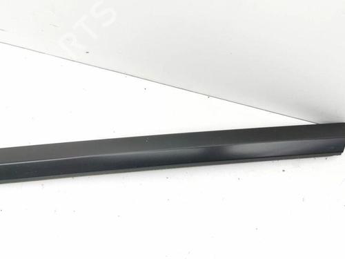 Door moulding trim TESLA MODEL 3 (5YJ3) EV | BP28901358C150 