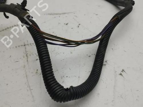 Wiring harness CHEVROLET CAPTIVA (C100, C140) 2.0 D 4WD | BP28848118E16 