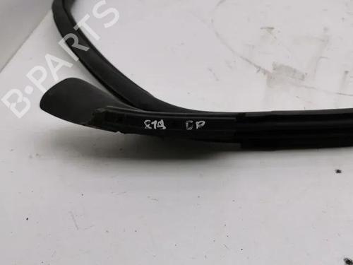 Rubber door seal VW ARTEON (3H7, 3H8) 2.0 TDI 4motion | BP28863691C142 