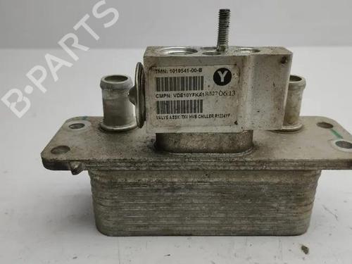 Kachelradiator TESLA MODEL S (5YJS) 60 (306 hp) 28862956