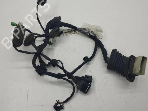 Used Wiring harness BENTLEY CONTINENTAL FLYING SPUR (3W_) 6.0 (560 hp) 28898552
