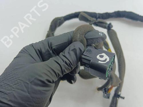 Wiring harness OPEL ANTARA A (L07) 2.2 CDTi | BP28904316E16 
