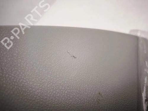 Pynteliste til bagklap NISSAN LEAF (ZE1) Electric | BP36085020C151 - Image 10